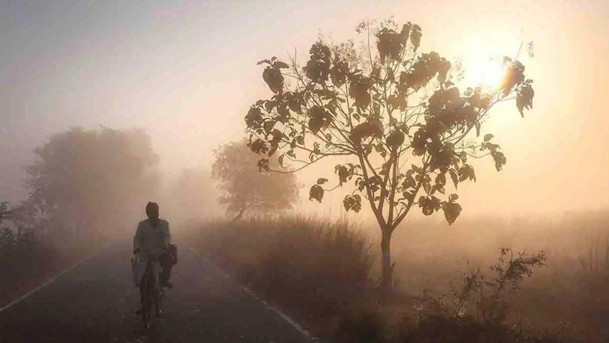 South Bengal Weather Forecast