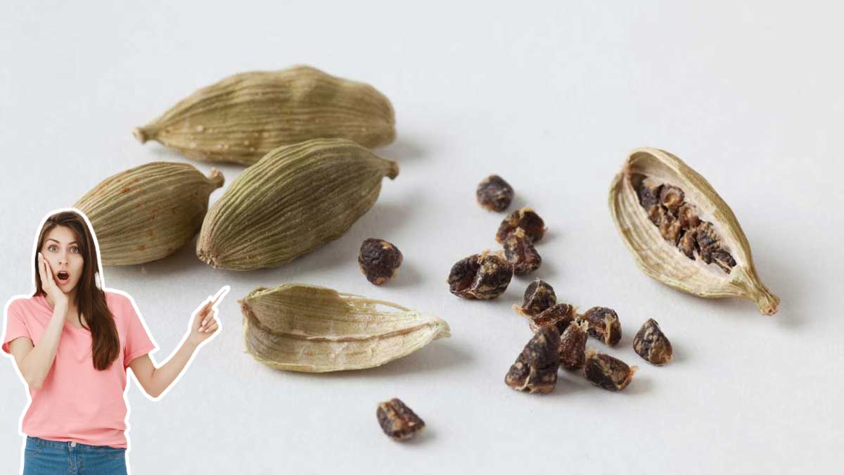 Cardamom Health Benefits
