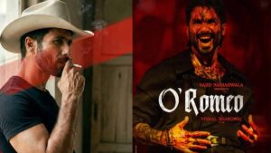 O Romeo box office collection